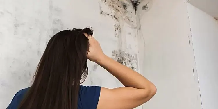 Eyvah Çatım Aktı!